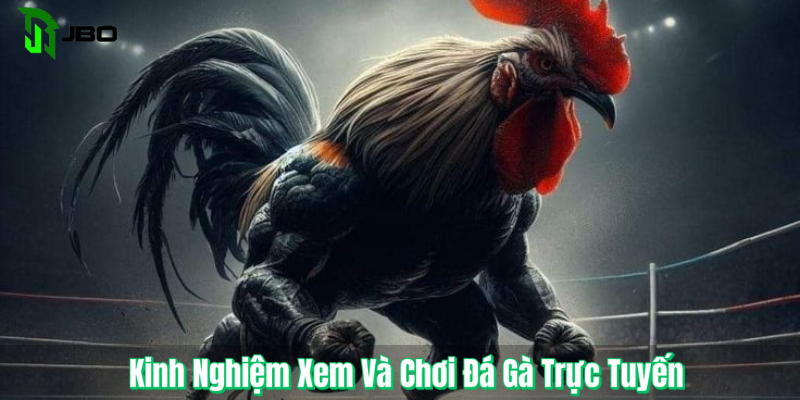 Kinh Nghiệm Xem Và Chơi Đá Gà Trực Tuyến